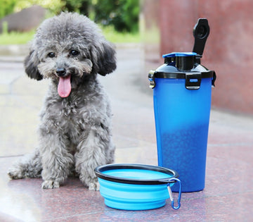 2 In 1 Pet Water Bottle